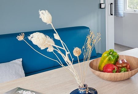 vente de mobil-homes neufs RAPIDHOME en Isère et en région Auvergne-Rhône-Alpes